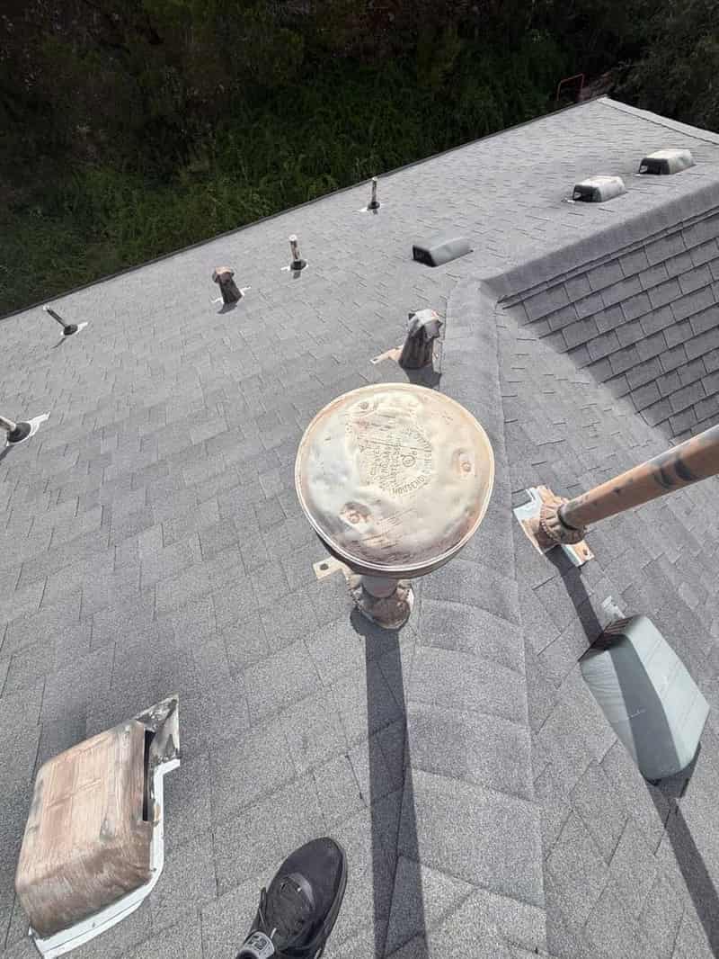 Wide view down a large grey shingle roof lined with old vent caps, with tree canopy beyond