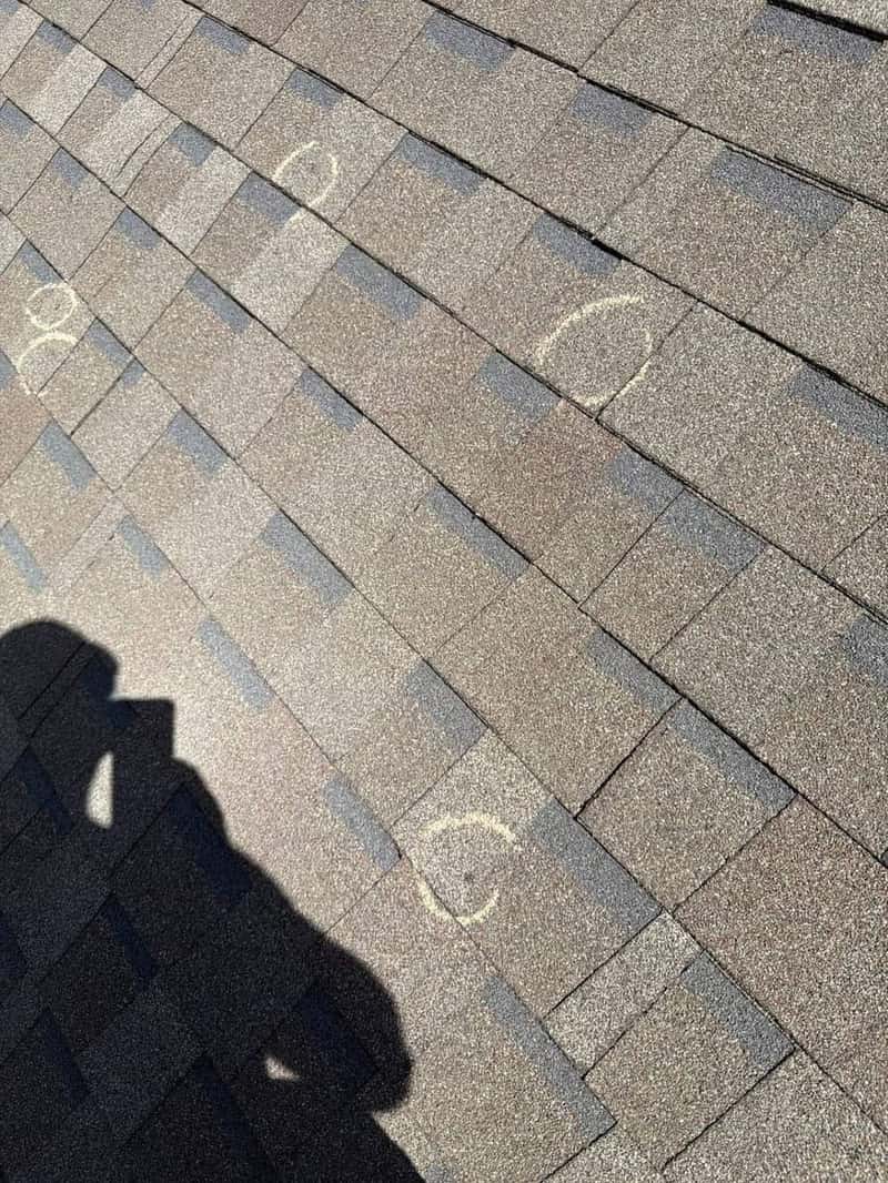 Chalk circles marking hail impact hits on architectural shingles during an inspection